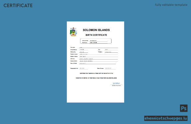 Salomonen Geburtsurkunde (Word- und PDF-Beispiel)